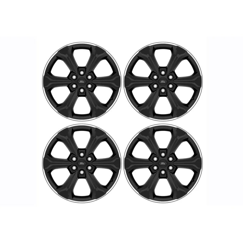 Ford Racing black auto part