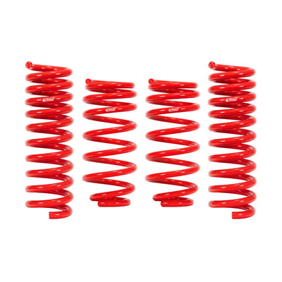 Eibach auto part