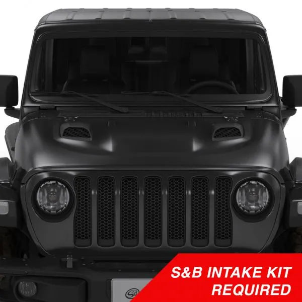 S&B Filters red intake system