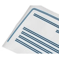 1981-87 C/K PAINT BRK STRP LT BLU/D