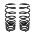 ARB springs detail