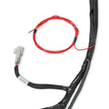 EXTENDED LENGTH 58X LS MAIN HARNESS