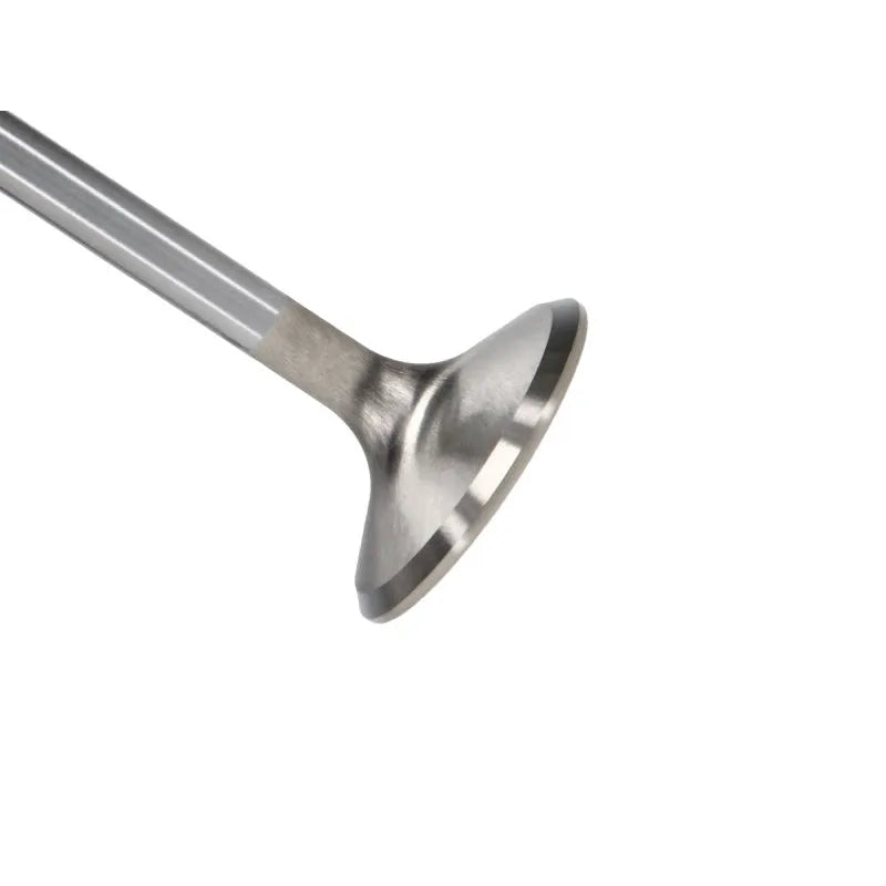 Manley Performance intake system