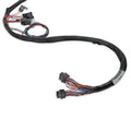 EXTENDED LENGTH 24X LS MAIN HARNESS