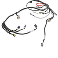 EXTENDED LENGTH 24X LS MAIN HARNESS