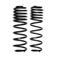 Skyjacker springs