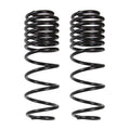Skyjacker springs
