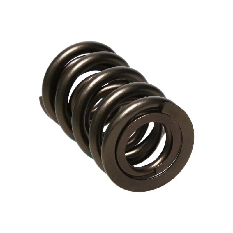 Manley Performance springs