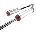aFe shock absorber