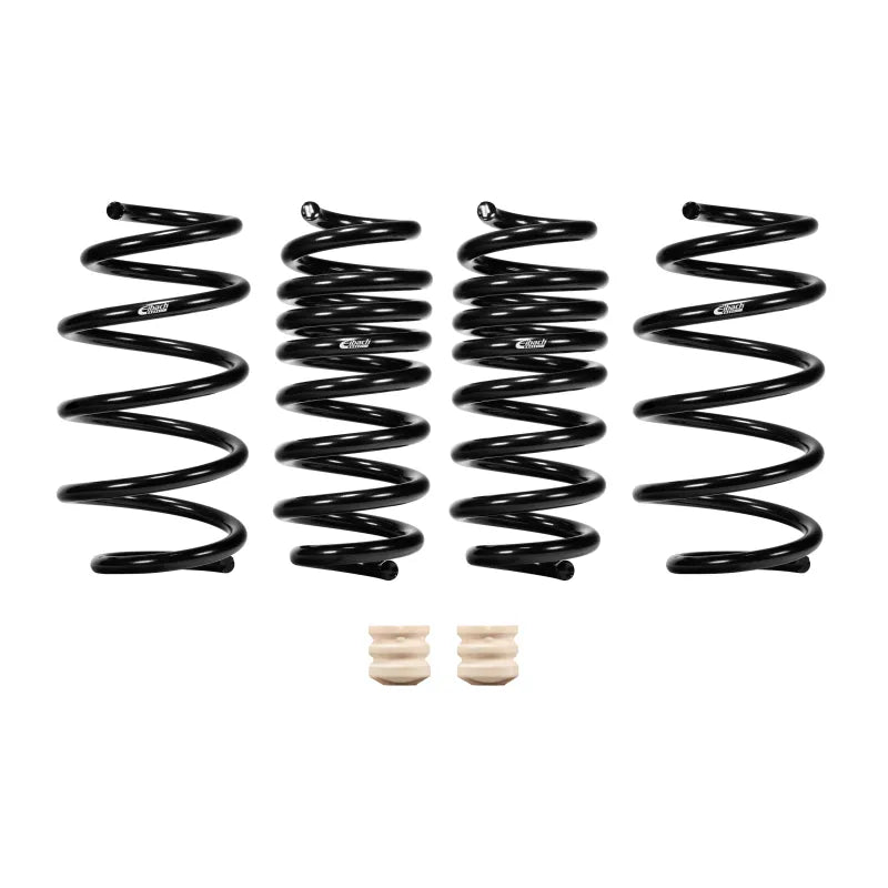 Eibach shock absorber