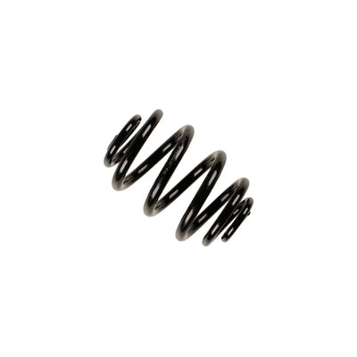 Bilstein springs