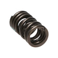 Manley Performance springs