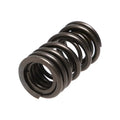 Manley Performance springs close-up