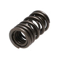 Manley Performance springs installed view