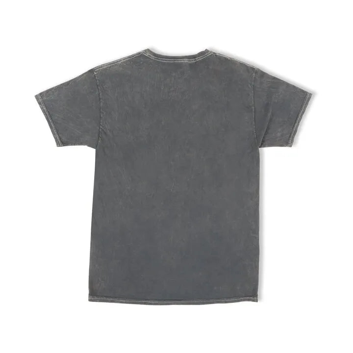 LTS HOLLEY EFI GARMENT WASH TEE - BLACK
