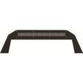 Go Rhino black auto part