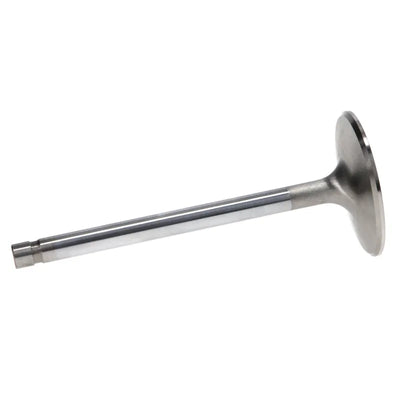 Manley Performance intake system