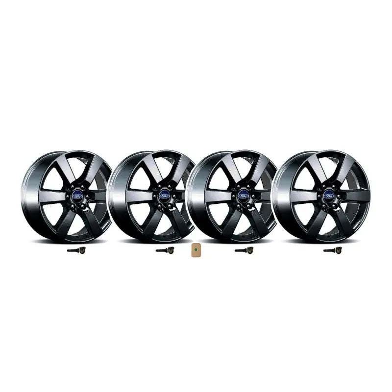 Ford Racing black auto part