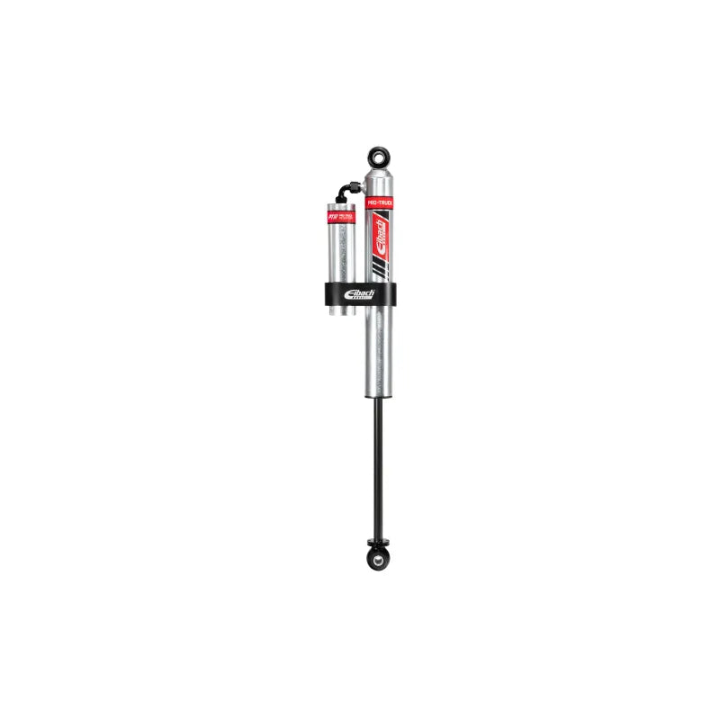 Eibach silver shock absorber