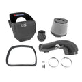 aFe carbon intake system