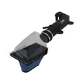 aFe induction system