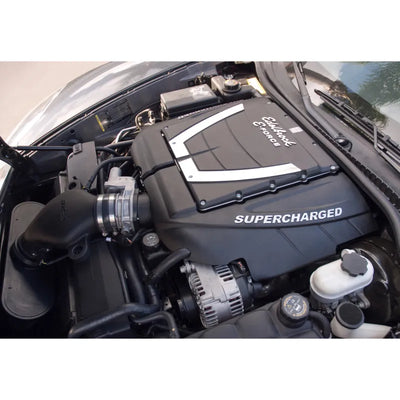 Edelbrock power module