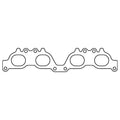 Cometic Gasket intake system