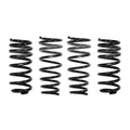 Eibach springs