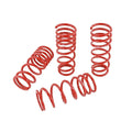 Skunk2 Racing springs close-up